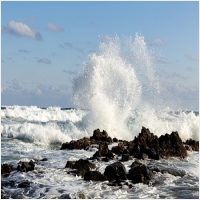 축산항대게 PC 갤러리 0