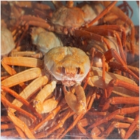 축산항대게 PC 갤러리 2