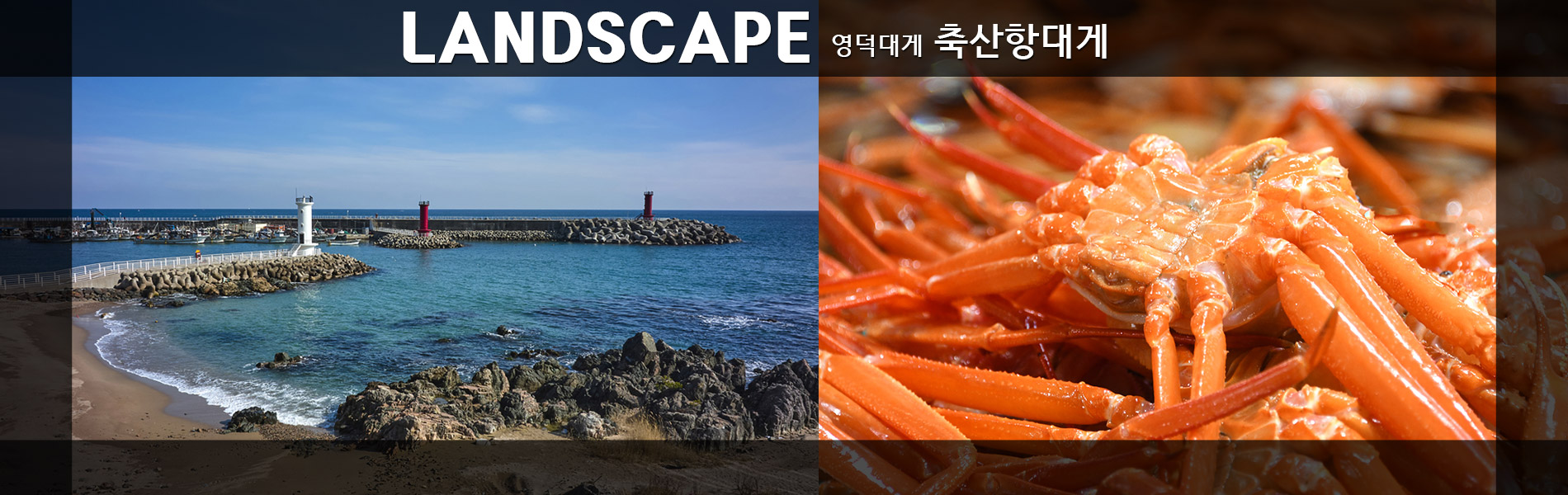 축산항대게 PC 비주얼 0